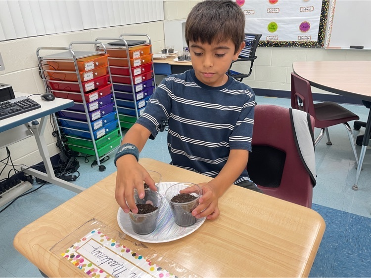 SeaWind Elementary tweet media