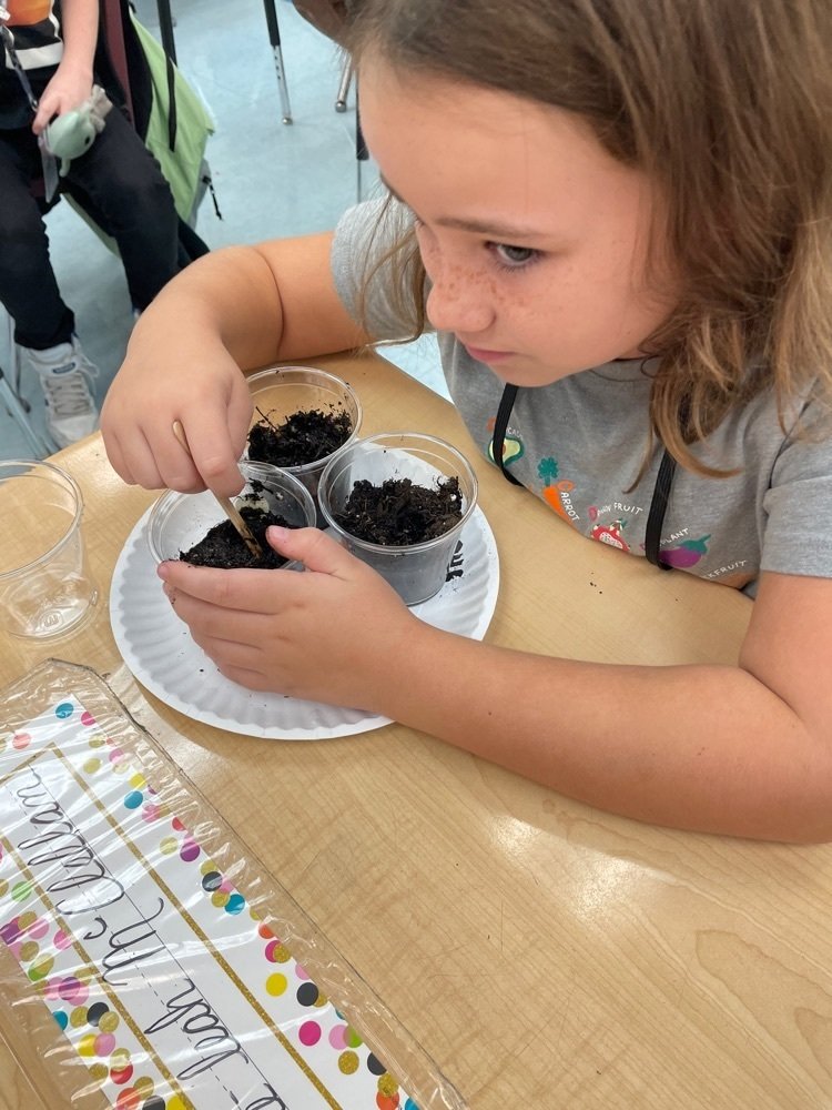 SeaWind Elementary tweet media