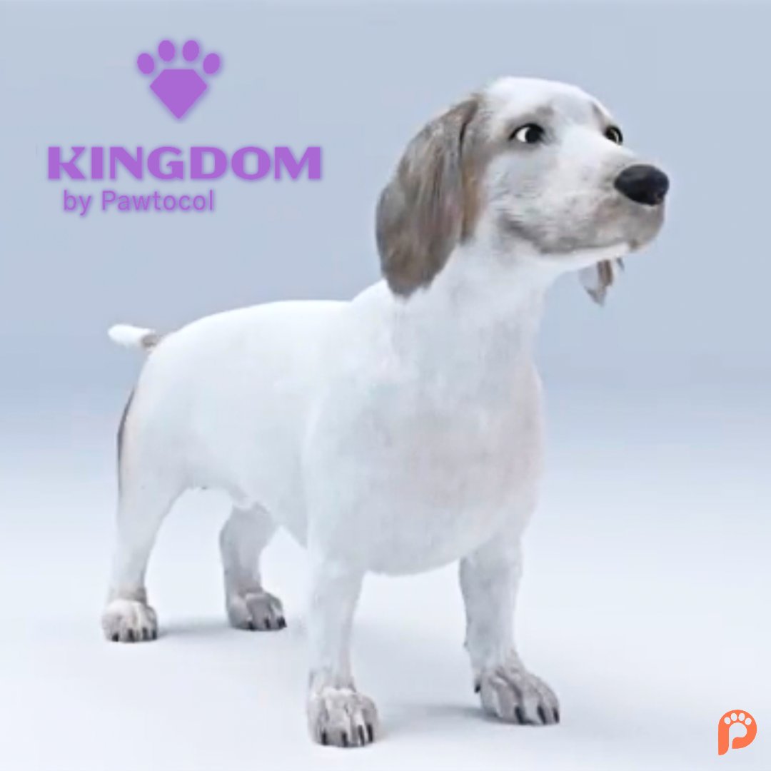 pawtocol's tweet photo. Web2 👉🏼 Web 3 Deebo

Follow @EnterKingdomNFT to stay up to date with all things Kingdom and watch as we bring pets into the #meteverse! #UPI $UPI https://t.co/JMMb5RDGDW