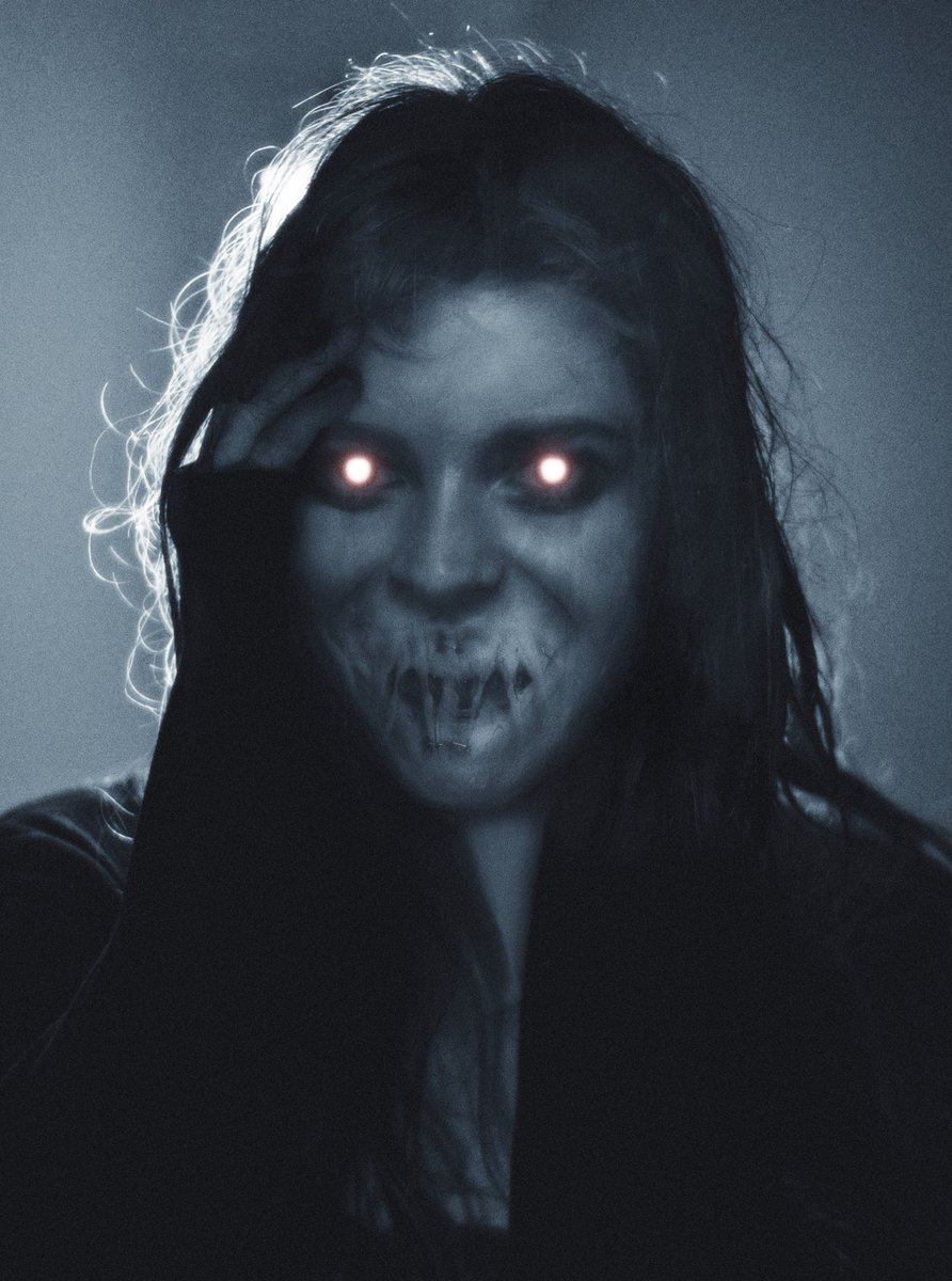ravenkult's tweet photo. Salem's Lot is trending, so I might as well post this little homage I made a while ago. https://t.co/5Q5qJhv0fg