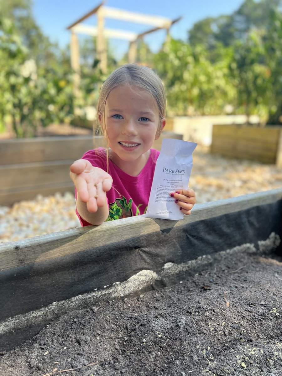 We are sowing the seeds of hope with @ParkSeed! Today we seeded our garden beds w/ lettuce, carrots, & beets. Park Seed has been a longtime supporter of our efforts & donates a percentage of the price of each packet to Katie’s Krops using this link- parkseed.com/katies-krops/c….
