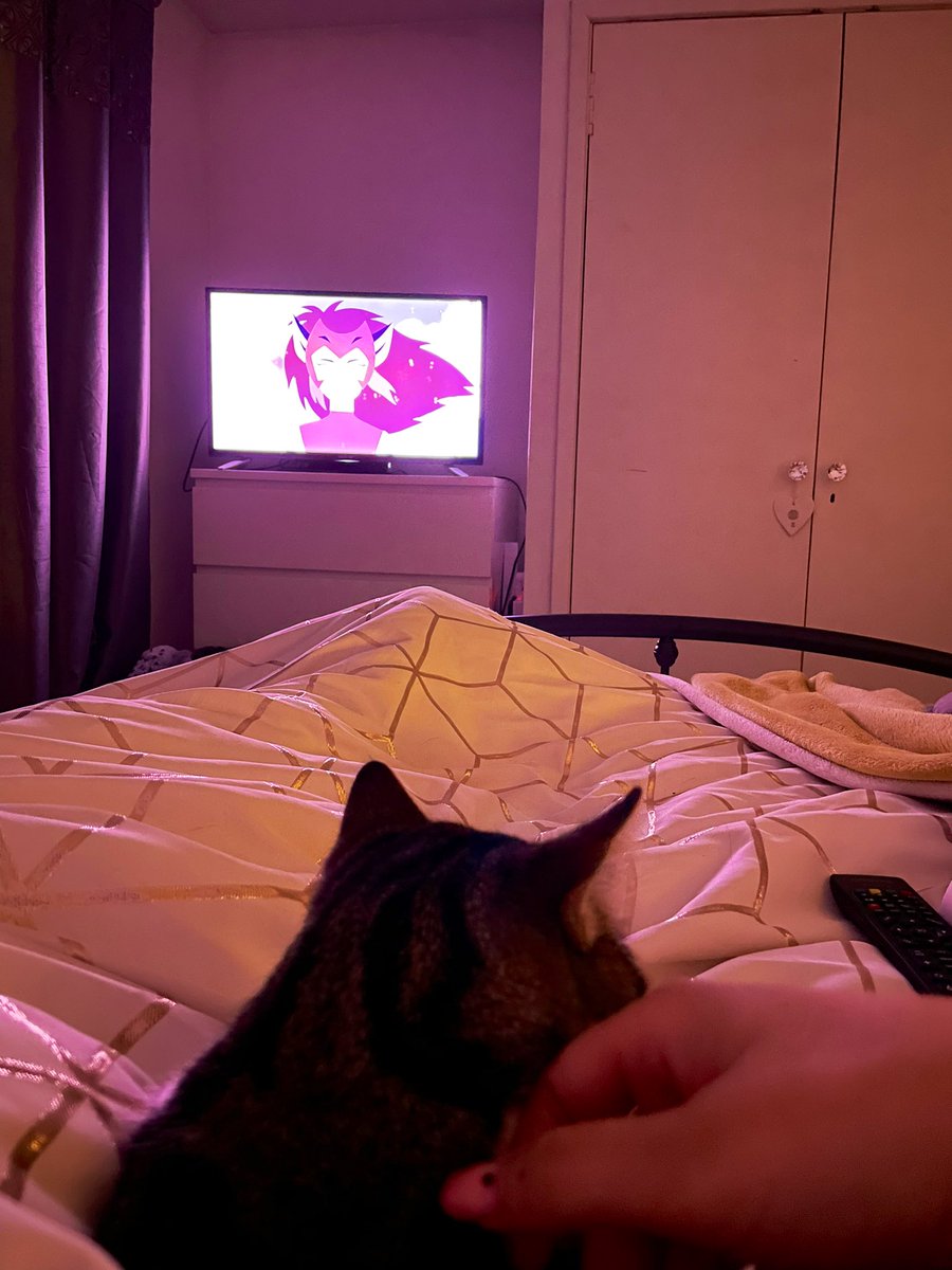 lynn2403's tweet photo. Nothing better than kitty cuddles and She-Ra when feeling rotten 💖 #cat #spop #princessesofpower #kittylove https://t.co/6YuQCh8E4u