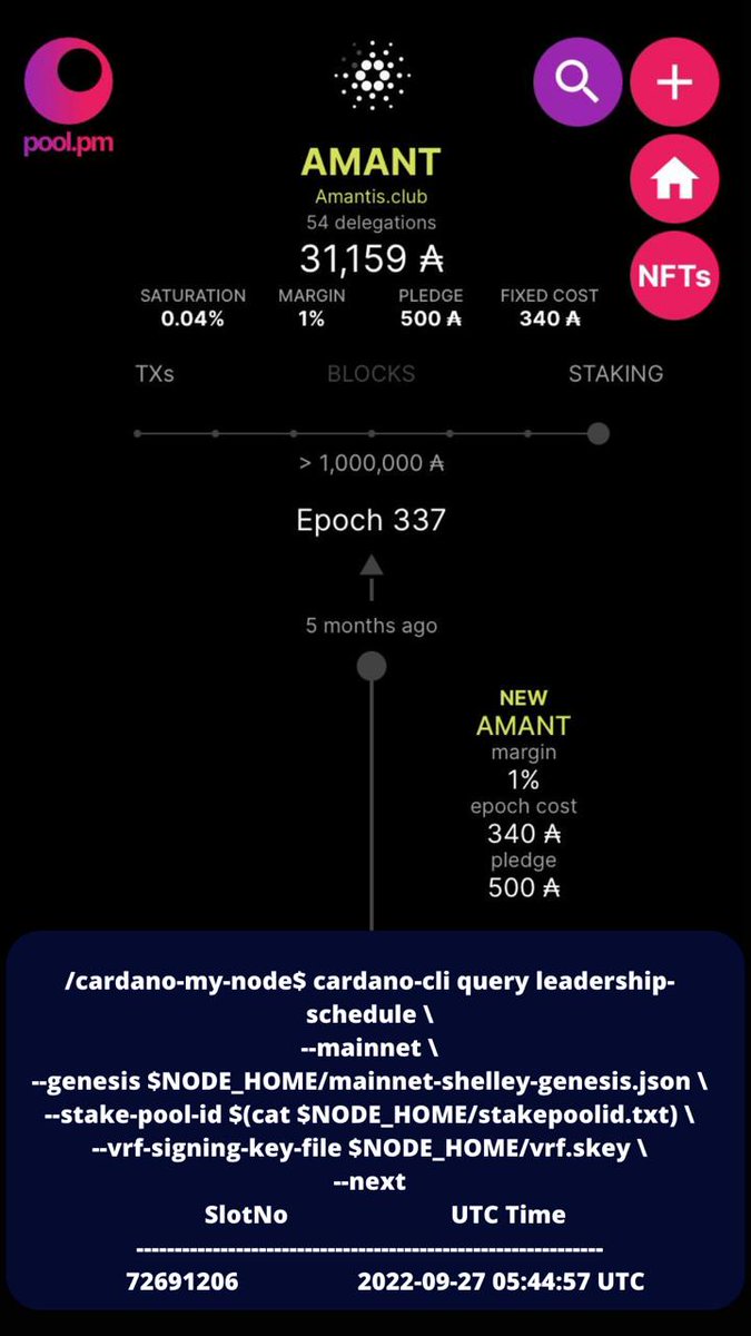 We are scheduled to build our 1st block in our Amantis #stakepool. Patience is a virtue. Support #Cardano #ADA