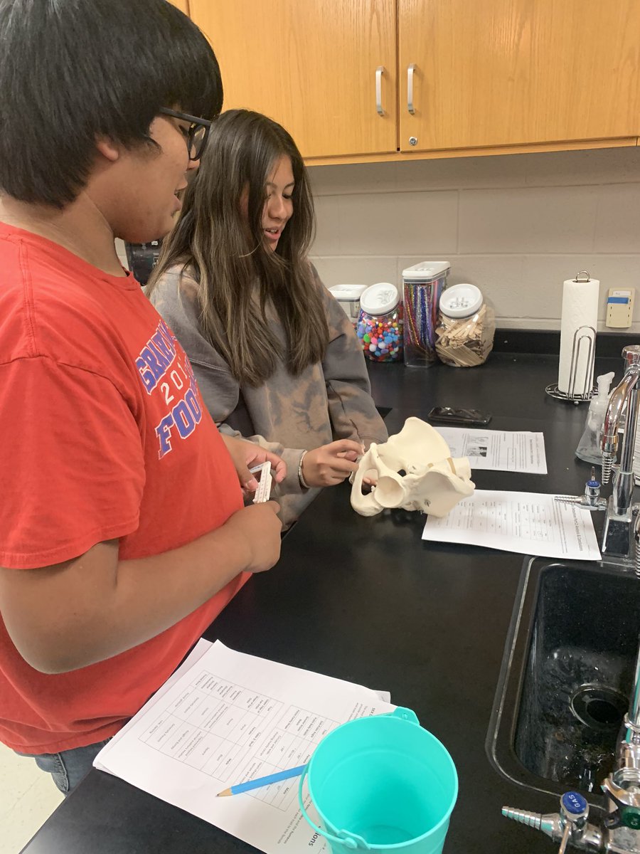 GHSBiomed tweet media