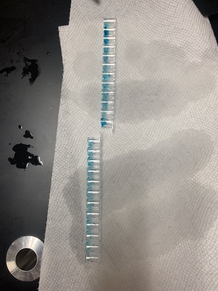 MI got some pretty good results today with their indirect ELISA, where they tested antigen concentrations of several infected patients!  #wearegraham <a href="/edvotek/">edvotek</a> <a href="/texaspltw/">Texas PLTW</a> <a href="/PLTWorg/">Project Lead The Way</a>