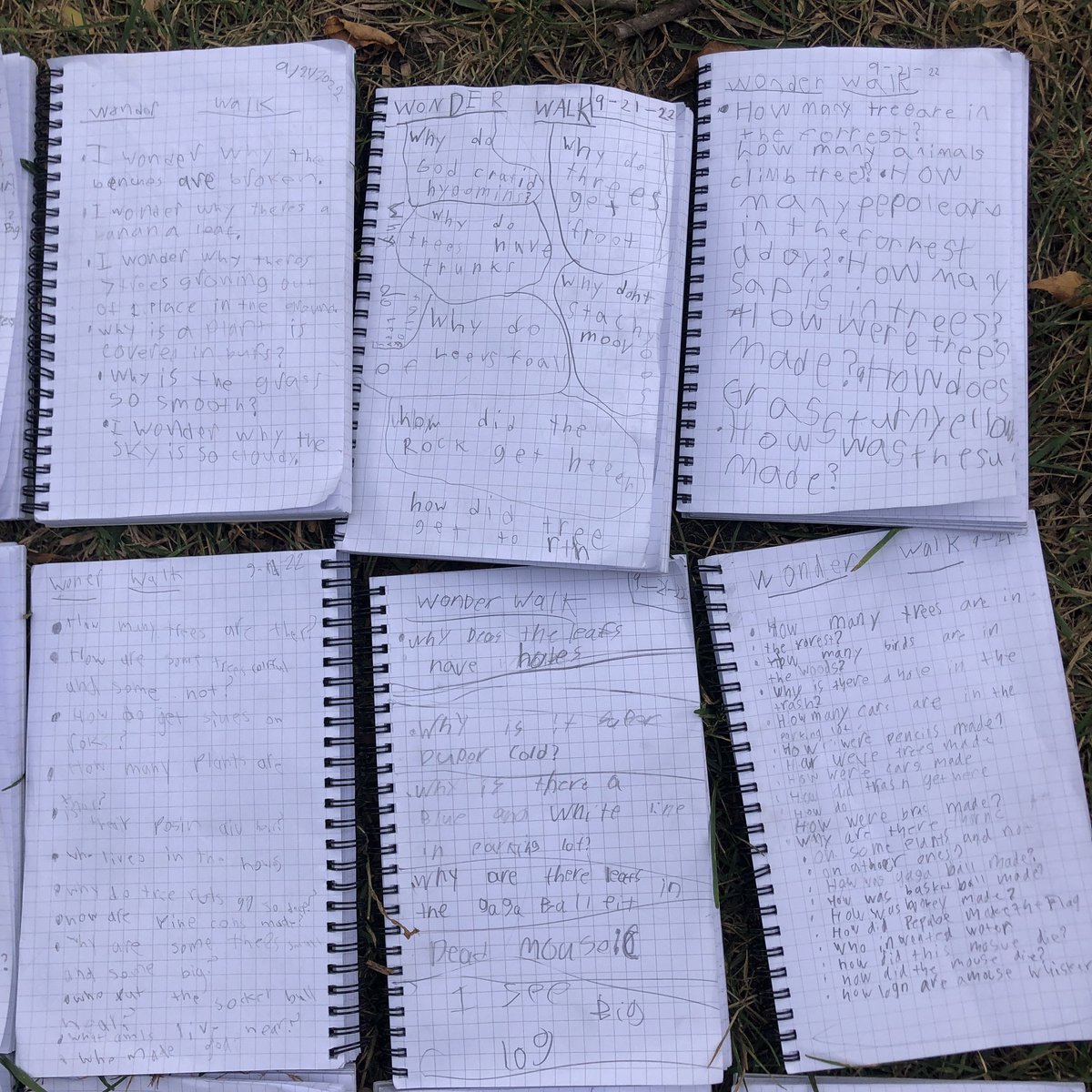 heyerlearning's tweet photo. #WildernessWednesday
#Curiosity Walk
What questions do you have? Write them down…..ALL of them. ❤️ #HoardersOfDetails #NoticeTheDetails #WalkingCurriculum #PoorMouse #SoMuchWriting #Punctuation #LiteracyOutdoors https://t.co/GnSPqUTCxp