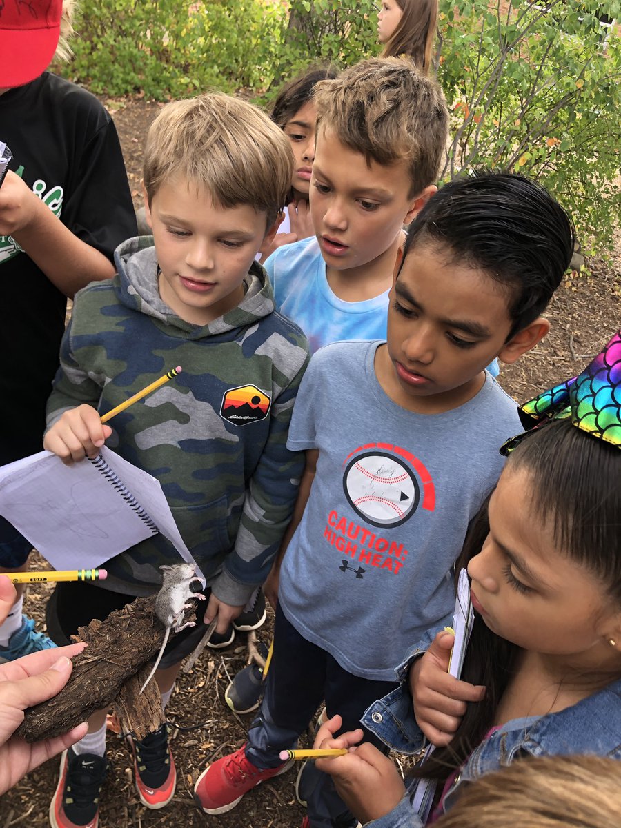 heyerlearning's tweet photo. #WildernessWednesday
#Curiosity Walk
What questions do you have? Write them down…..ALL of them. ❤️ #HoardersOfDetails #NoticeTheDetails #WalkingCurriculum #PoorMouse #SoMuchWriting #Punctuation #LiteracyOutdoors https://t.co/GnSPqUTCxp