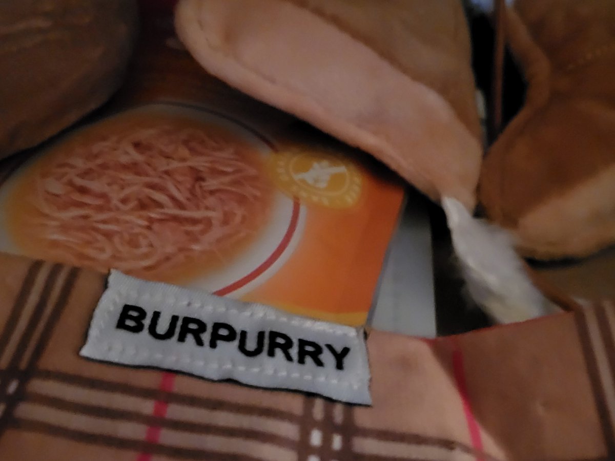 b4beth's tweet image. Kitties are ready for Fall. They even have a Burpurry scarf. 
#meowbox