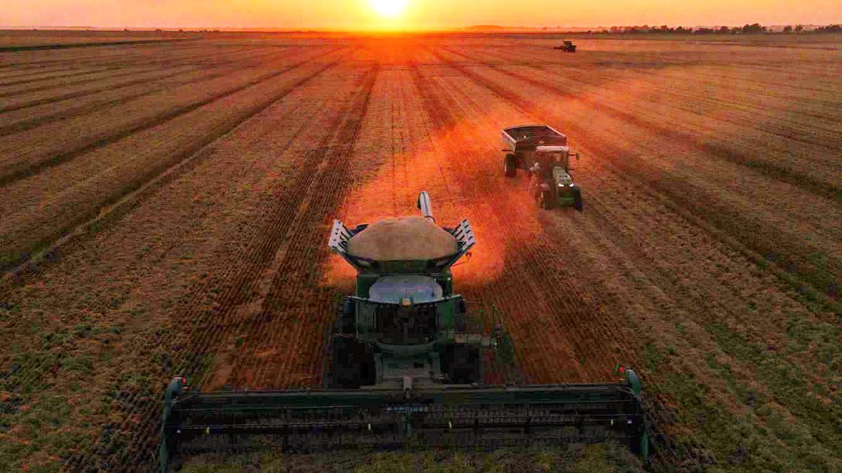 rsullivan12's tweet photo. Can see the finish line with rice harvest. Thankful for this perfect weather! #sullivanfamilyag https://t.co/ABkQ7OcoWS