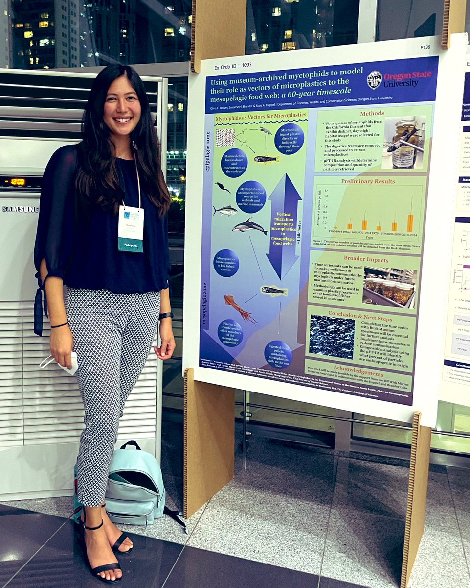 smbrander's tweet photo. Great presentation by grad student @BoisenOlivia at Tuesdayโs #7imdc poster session! #myctophids #museumspecimens #timeseries #microplastics @pnwmicroplastic https://t.co/pUMahxYHt2