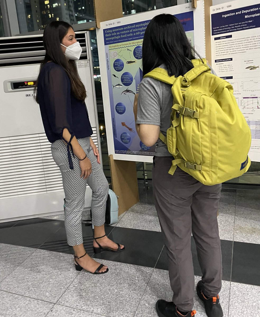 smbrander's tweet photo. Great presentation by grad student @BoisenOlivia at Tuesdayโs #7imdc poster session! #myctophids #museumspecimens #timeseries #microplastics @pnwmicroplastic https://t.co/pUMahxYHt2