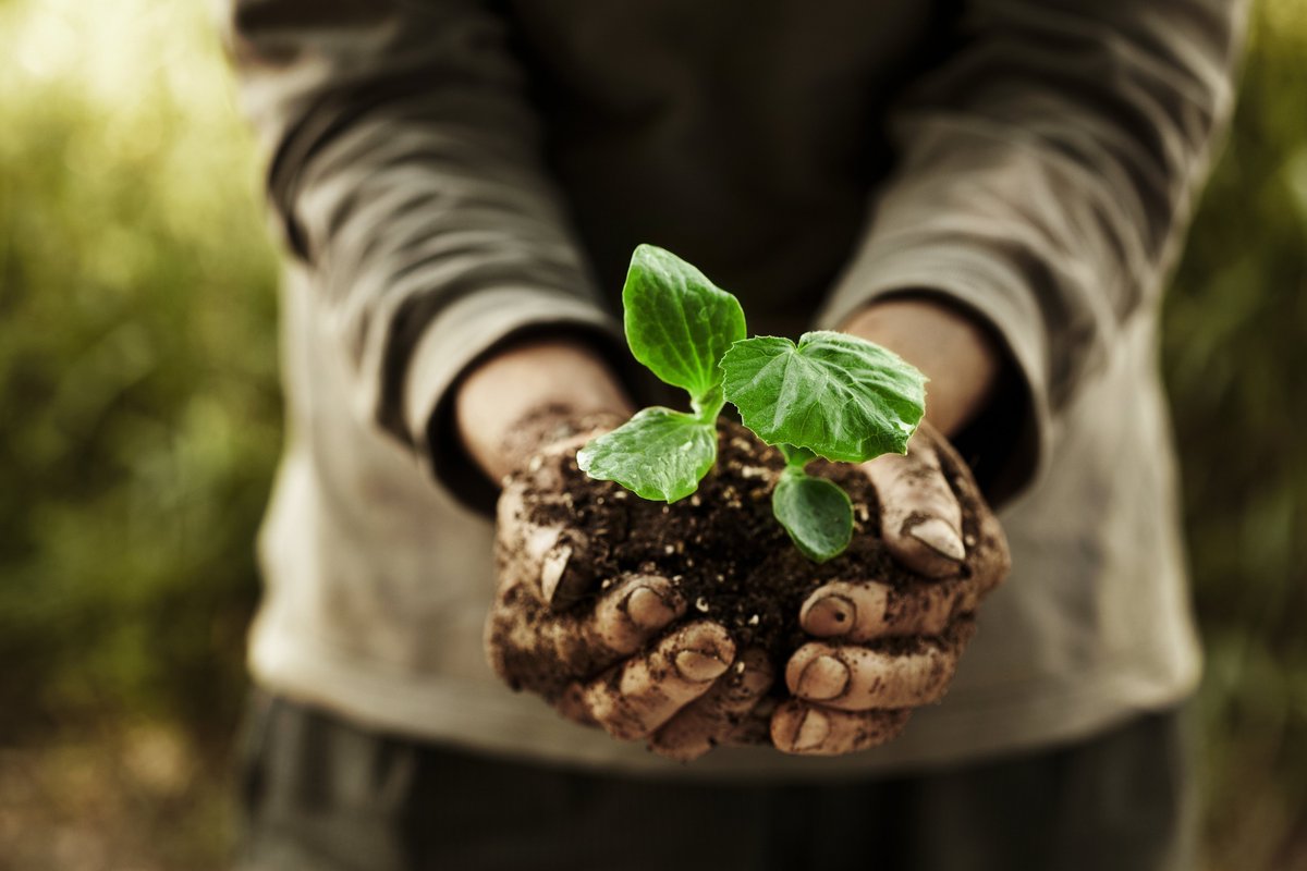 pim4u_'s tweet photo. What does #sustainablefarming mean to us?  EVERYTHING.  As farmers, it is in our best interest to care for the land - not just for us, but for future generations to come. https://t.co/lcrYCVWnDh