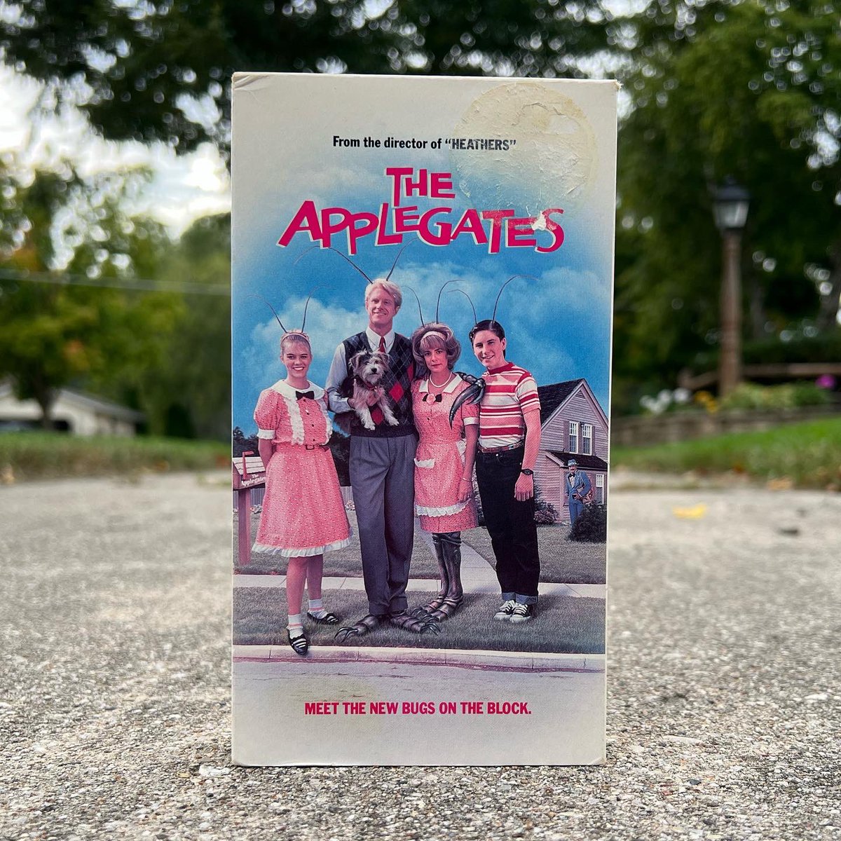 FlashbackVideo_'s tweet photo. Day 21 of #VHSeptember: Keep it Surreal
Meet the Applegates (1990)
.
.
.
.
#vhs #vhscollection #vhscollector #vhsedit #vhsaesthetic #vhsedits #vhsforsale #vhscommunity #vhstapes #meettheapplegates #surreal #90s
#90saesthetic #90svintage #90sstyle #90smovies #the90s
#90skids https://t.co/CN2QVzWpUL