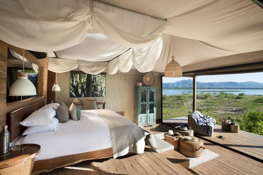 InfoBushlife's tweet photo. Book your safari holiday adventure into any one of  ABC properties in Botswana, Zambia &amp; Zimbabwe for a minimum stay of 6 nights in 2023 &amp; we will give you US$600 discount per person

Book your BLAS safari adventure today!
https://t.co/ja0KLENc7j https://t.co/ozslLTOVkk