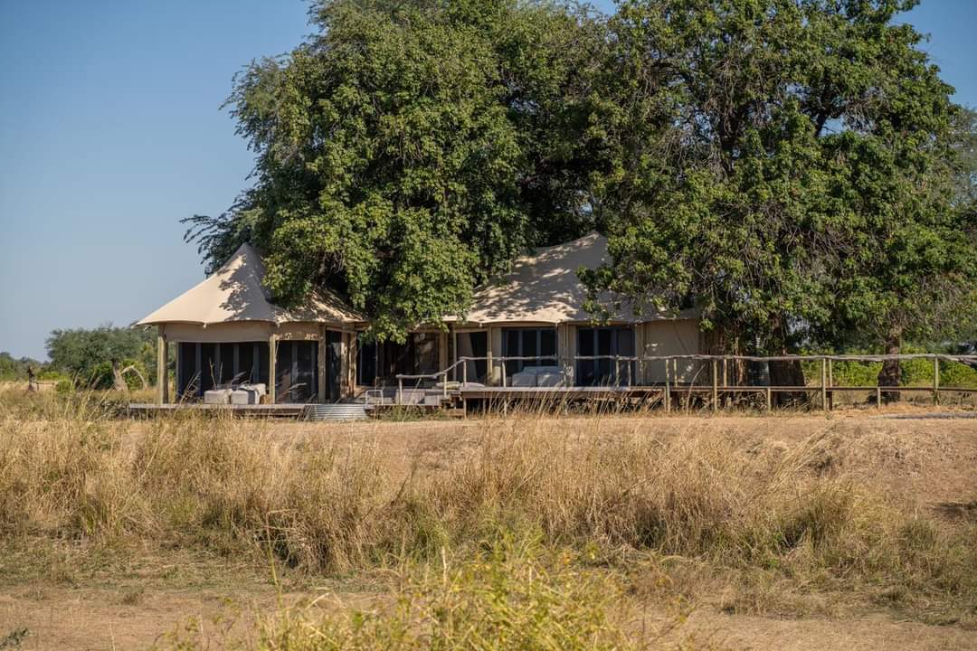 InfoBushlife's tweet photo. Book your safari holiday adventure into any one of  ABC properties in Botswana, Zambia &amp; Zimbabwe for a minimum stay of 6 nights in 2023 &amp; we will give you US$600 discount per person

Book your BLAS safari adventure today!
https://t.co/ja0KLENc7j https://t.co/ozslLTOVkk