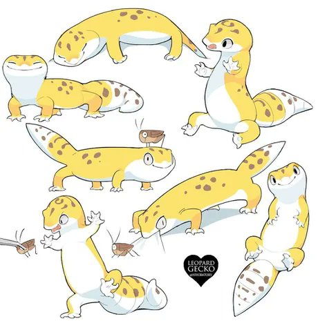 GeckosDaily_'s tweet photo. Oh my goodness 😭❤️ https://t.co/QhGtfrfI1m