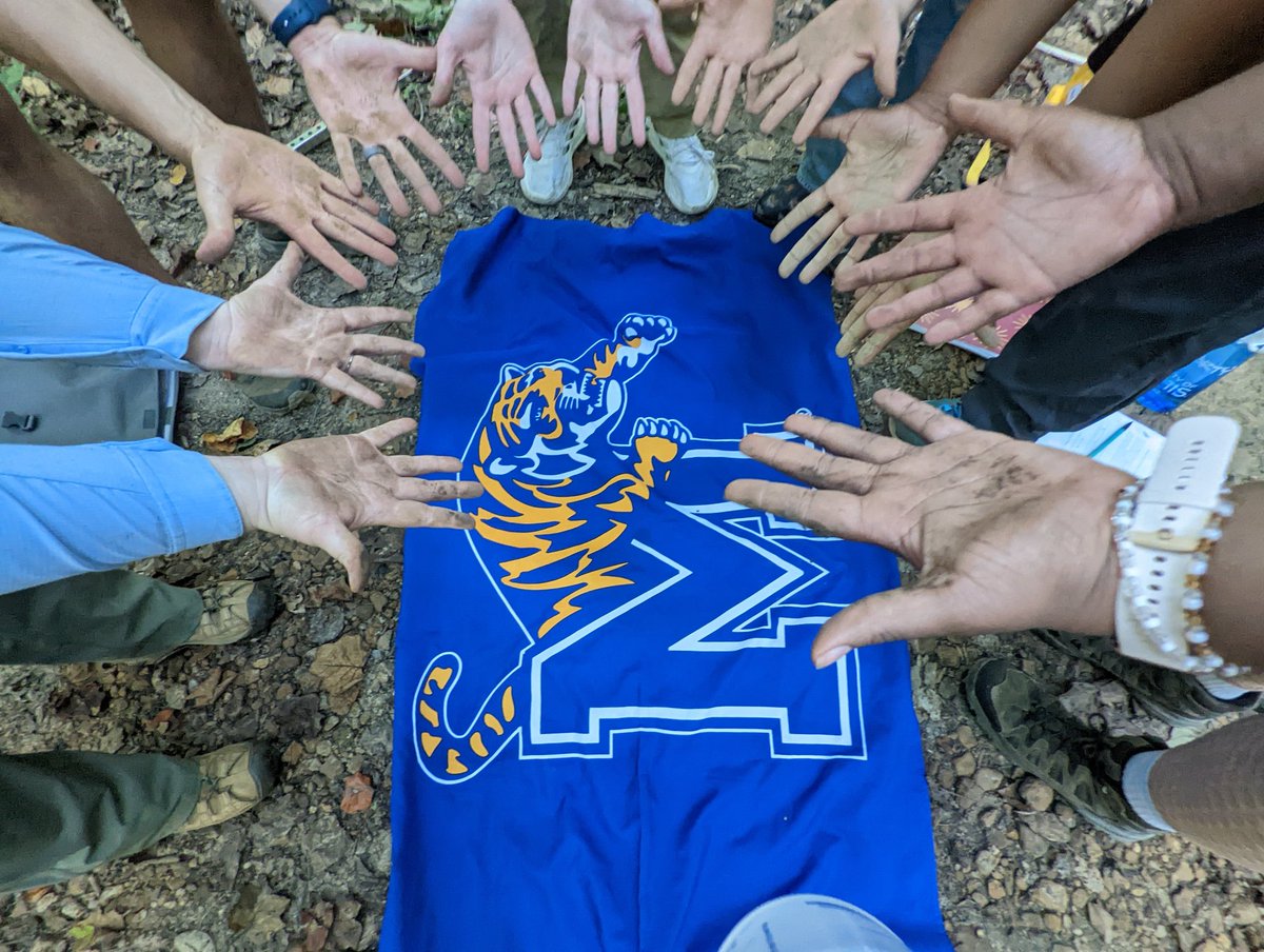 Dr. Ray Lombardi tweet media