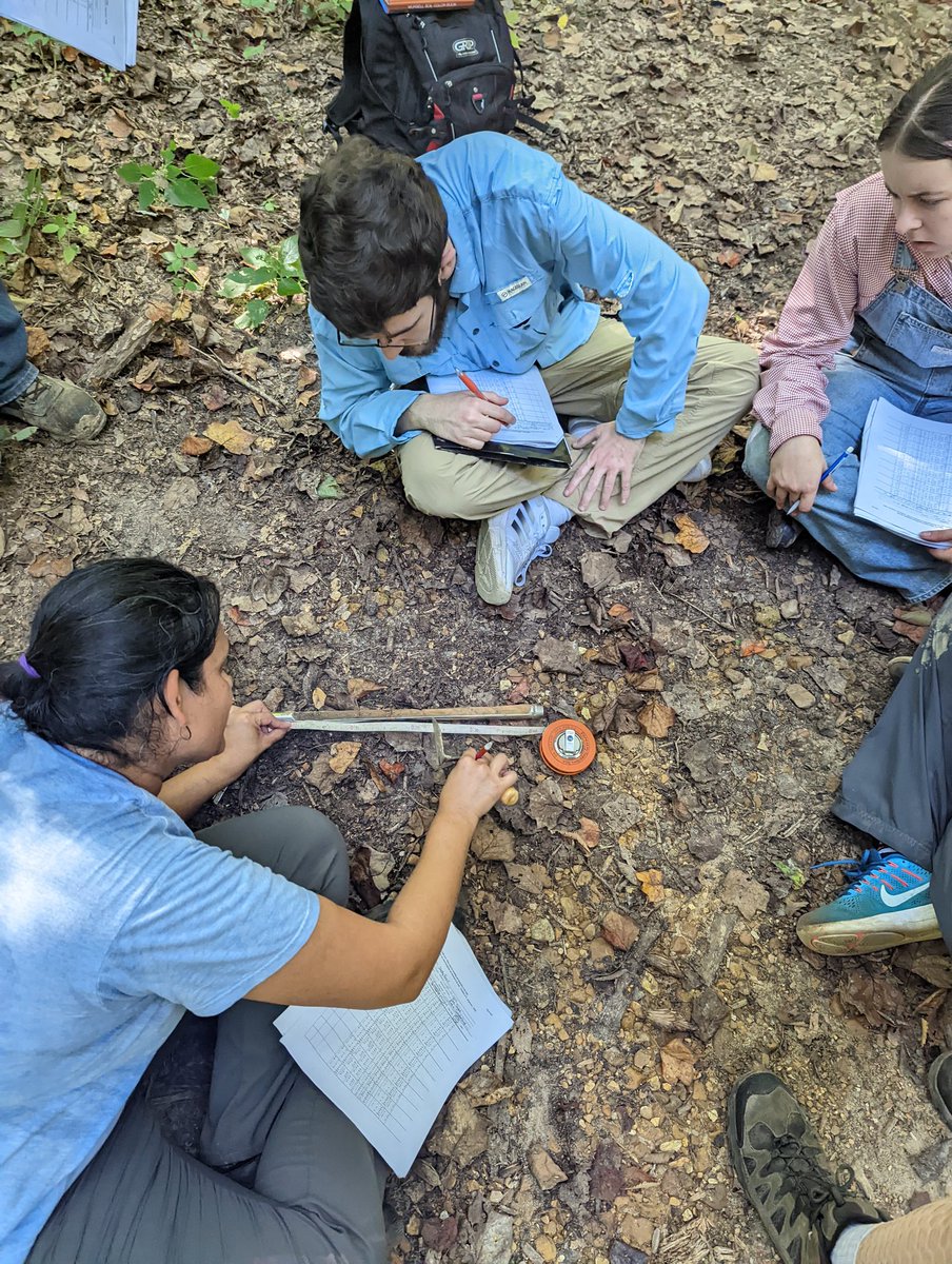 Dr. Ray Lombardi tweet media