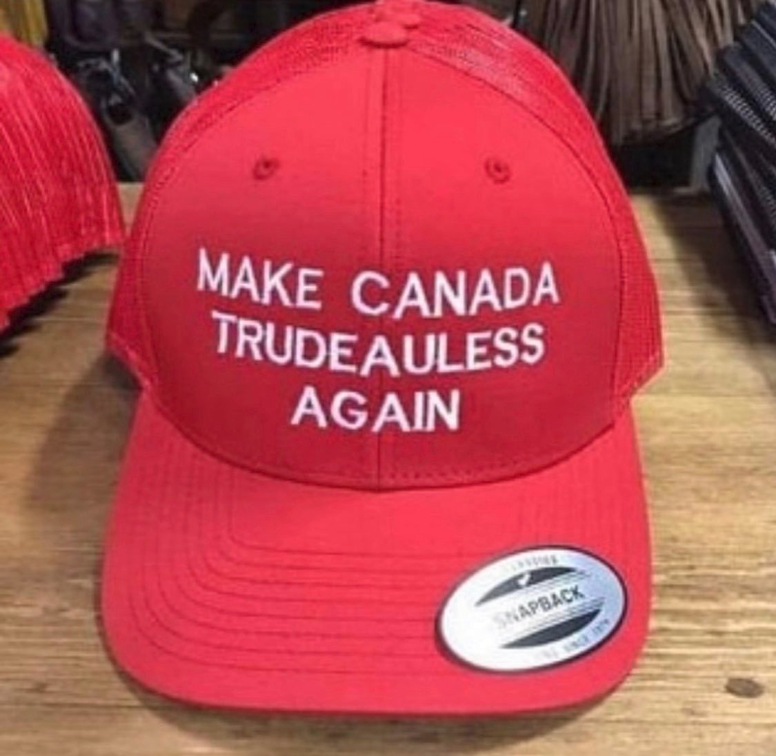 EzraKahan's tweet photo. #FreedomBOT🤖
#TrudeauMustGo https://t.co/lHC3iIFHsW