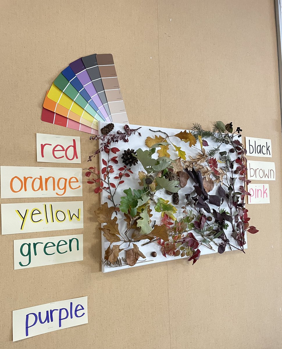 The rainbow of Autumn! 🍁🍂🌿We found so many colours in nature for our collage to co-create a visual for learning our colour words #landbasedlearning <a href="/EICSCatholic/">Elk Island Catholic Schools</a>