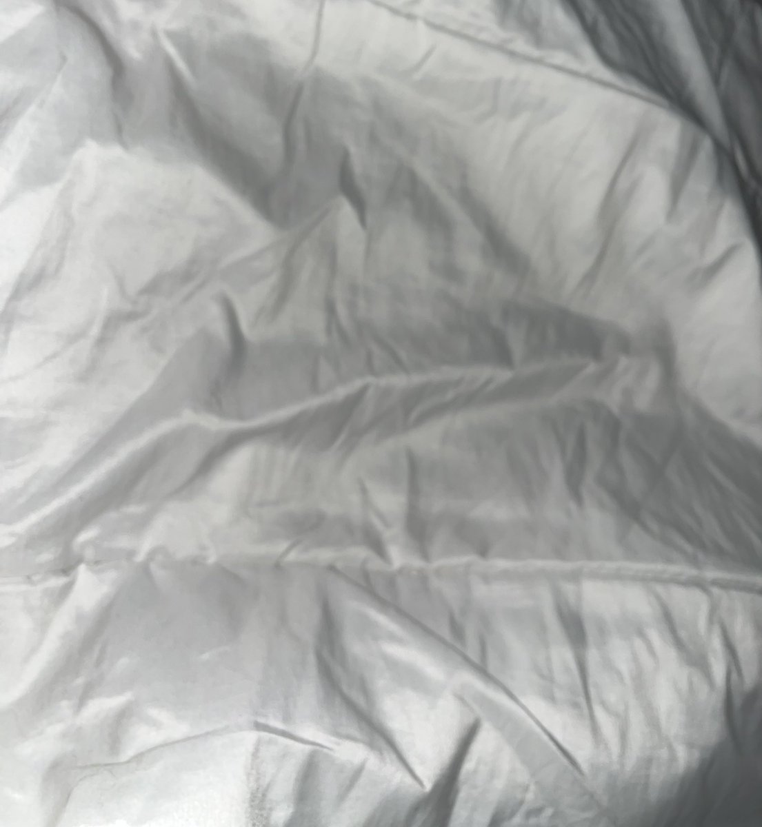 laauraamirez's tweet image. 1a nit amb hedredón