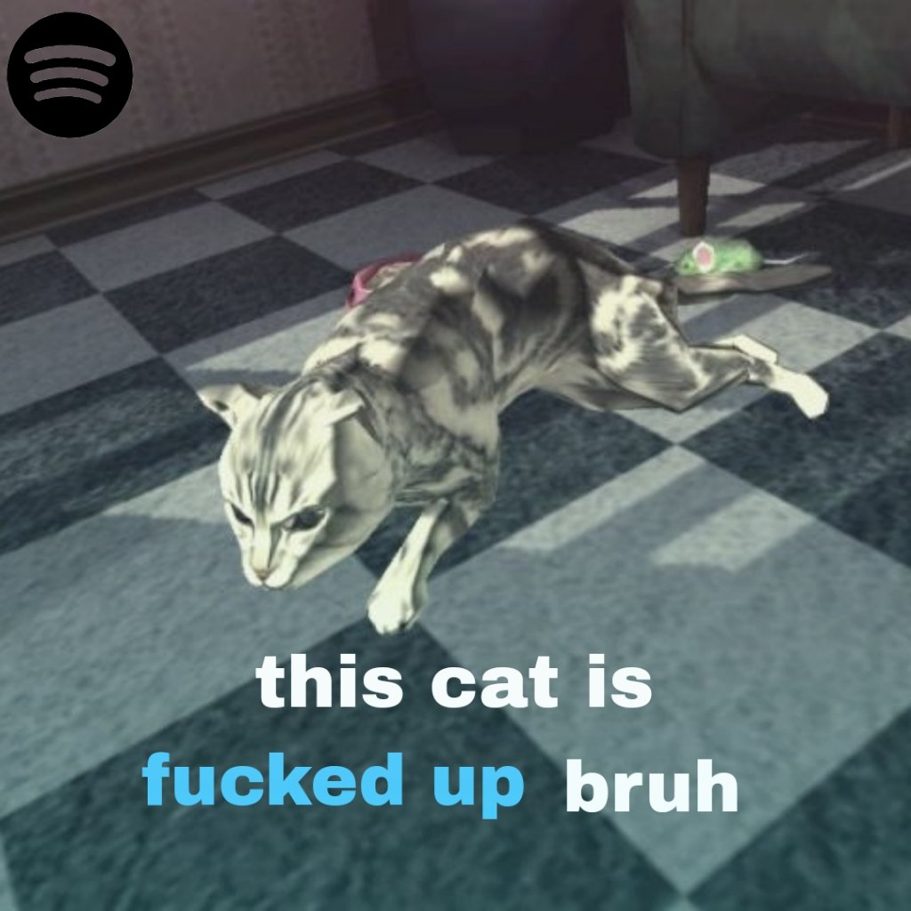 This Cat Is Fucked Up Bruh SonicKick on Twitter: "RT @TravisDiesAgain: