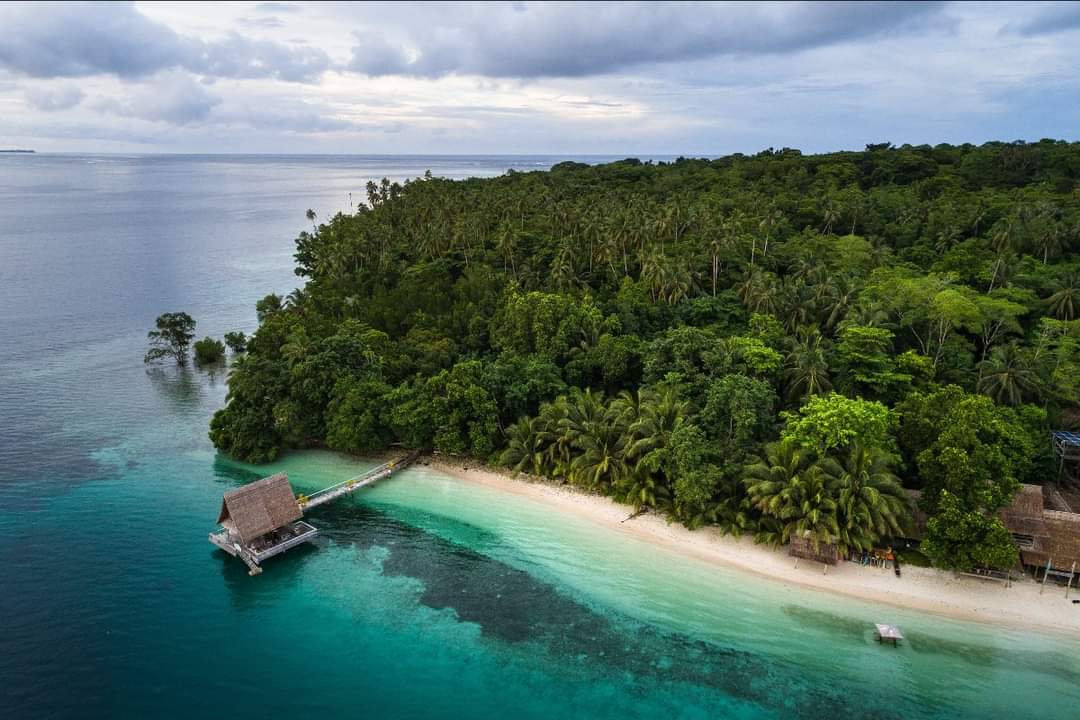 Visit Solomon Island tweet media