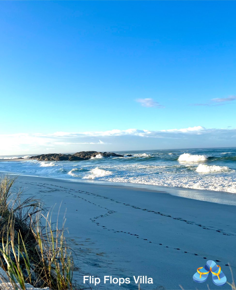 wcoast's tweet photo. RT @FlipFlopsVilla: It is only a few minutes easy walk from Flip Flop Villa to the beautiful Pearl Bay beach.
🏖️
🏖️
#yzerfontein #weskus #discoverct #discoverctwc #beach #localislekker #roadtrip #westcoast #southafrica #capetown #holiday #weskusvibes #… https://t.co/bBjaGyp7oR