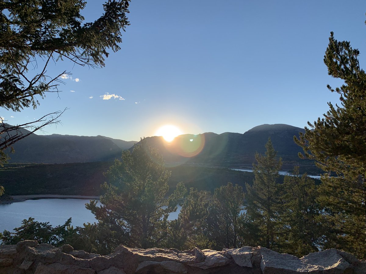 ManyButFew's tweet image. 