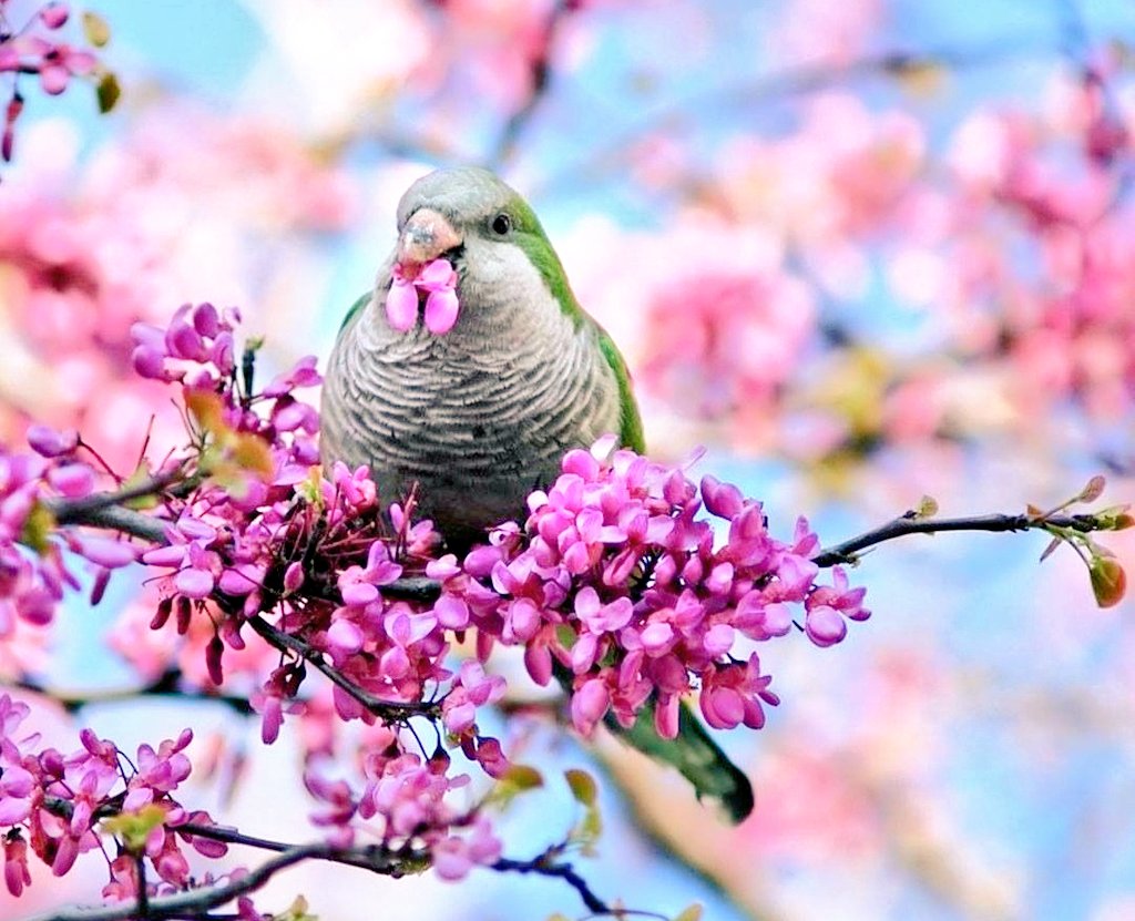 .

Bir insanın kalbinde ne varsa dışa
O vururmuş dokunduğunuz herşey 
Sevgiye güzelliğe berekete dönüşsün

GÜNAYDIN...

.