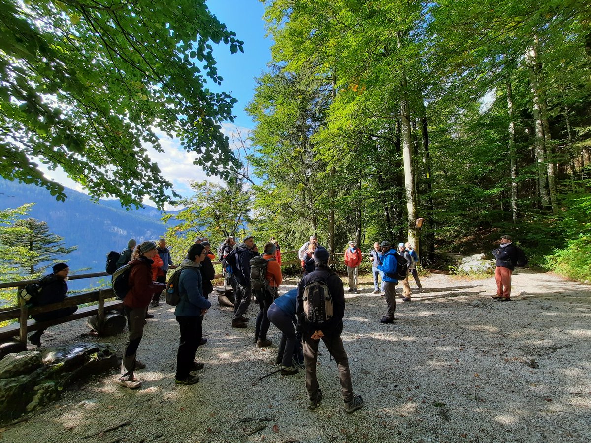 From the snowy top to the still green forests at the bottom - hat a great #fded excursion in #BerchtesgadenNationalPark