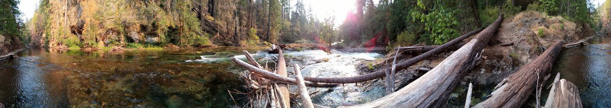 Summer is over.

Dusting off the cobwebs from my keyboard, burning the midnight oil, and taking a moment to collect my thoughts. BRB. 🧐🐒