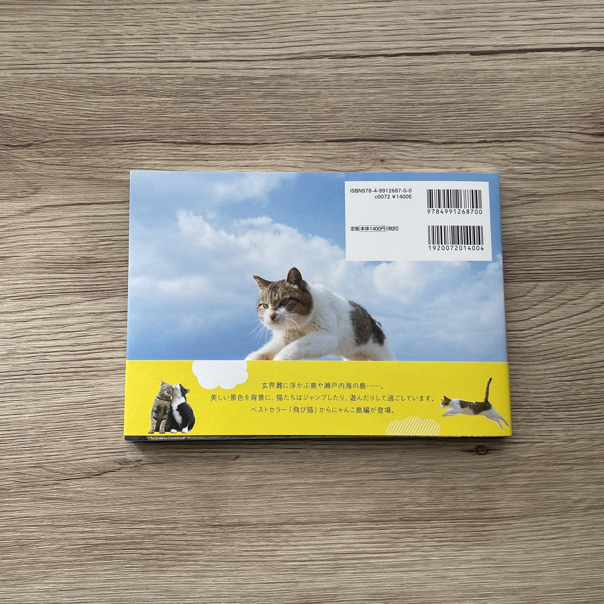 igarashikenta's tweet photo. 無事に新作の写真集「飛び猫」にゃんこ島編が完成して家に届きました
印刷綺麗です

発行部数も広告宣伝費も制作費用も大手出版社と変わらないです
今回もベストセラー写真集にするために動いていきます

都内にある猫本専門の書店「神保町にゃんこ堂」でも販売予定です
#飛び猫　#神保町にゃんこ堂 https://t.co/4wqXylySR4
