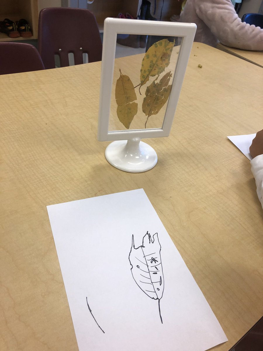 lkmaclean's tweet photo. Looking Closely like a Scientist. #scientificdrawing #lookingclosely #autumnleaves https://t.co/q3vmmcT3z4