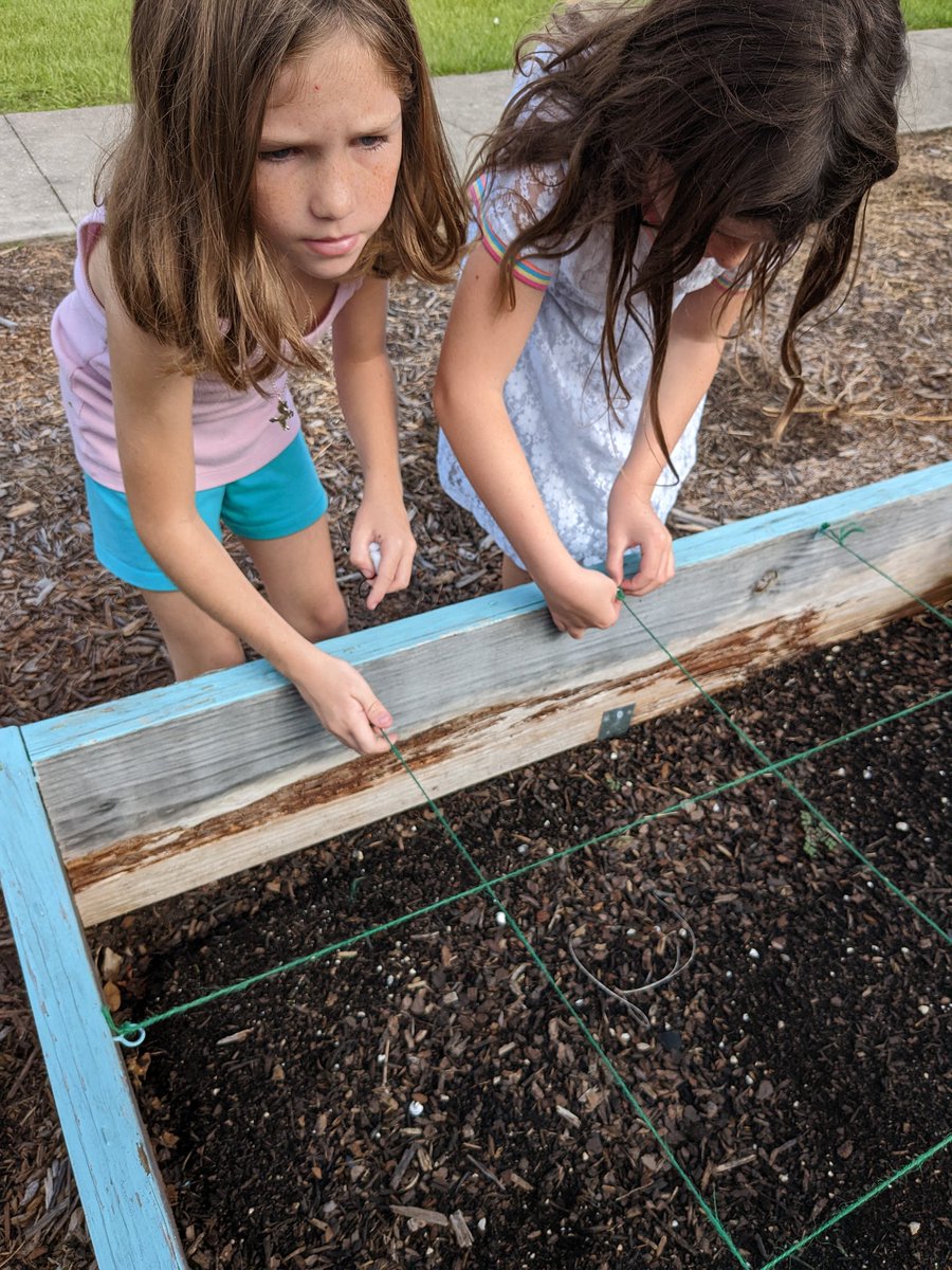 Students hard at work to prepare our school garden beds for planting <a href="/SWETornadoes/">StantonWeirsdaleMCPS</a> #imaFANswe