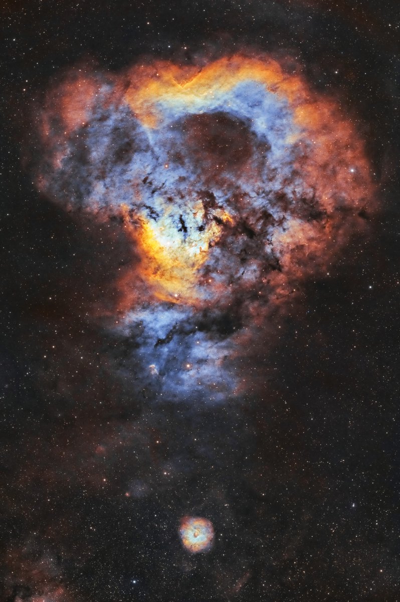 chucksastropho1's tweet photo. Here's the Cosmic Question Mark.  NGC 7822 is at the top.  The dot on the bottom is SH2-170, also called the Little Rosette Nebula.  

I captured it with:
RedCat 51 telescope
ZWO ASI2600MM Pro camera 
Optolong 3nm narrowband filers https://t.co/lNQoLFUrMn