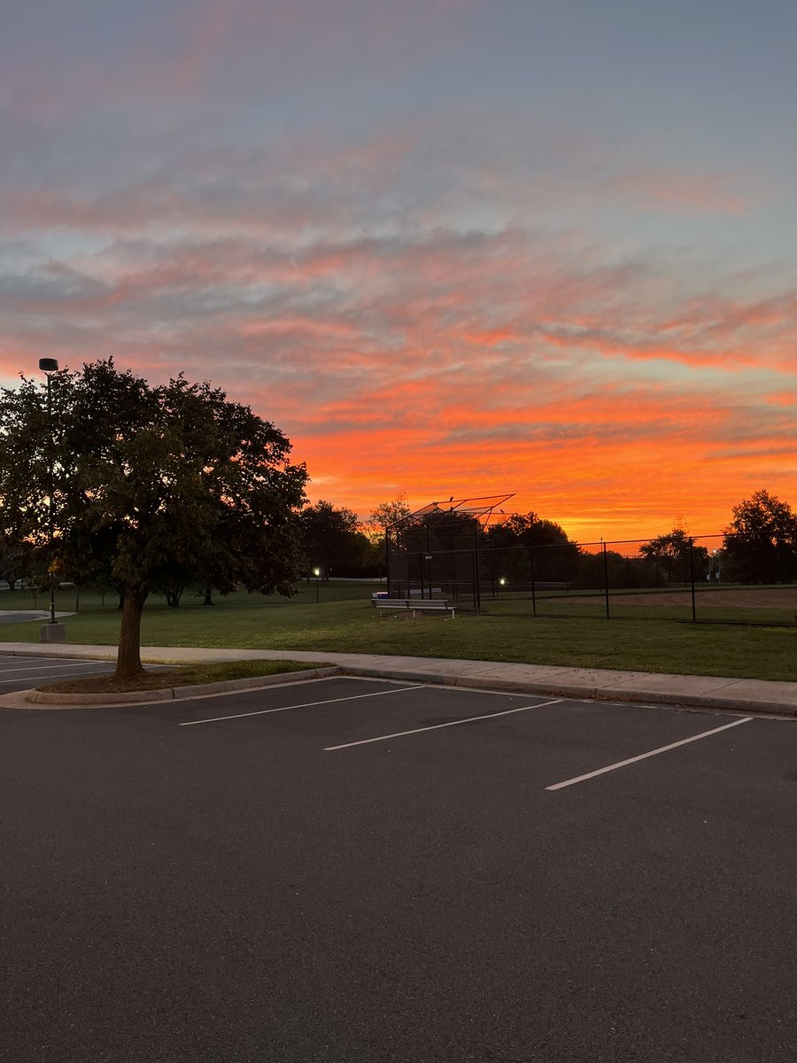 Carol Francis tweet media