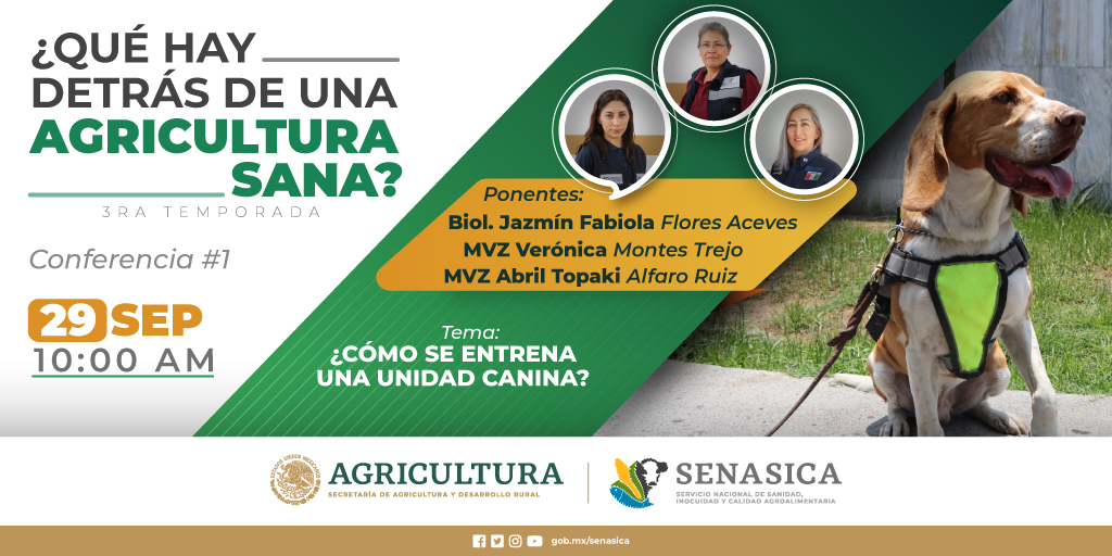 SENASICA's tweet photo. Sigue nuestra transmisión y conoce cómo nuestros perritos se convierten en héroes de cuatro patas para México 🇲🇽 🐕‍🦺
Da clic💻https://t.co/QjugjUy0iS
¡No te la pierdas! https://t.co/cYVvTqvS4T