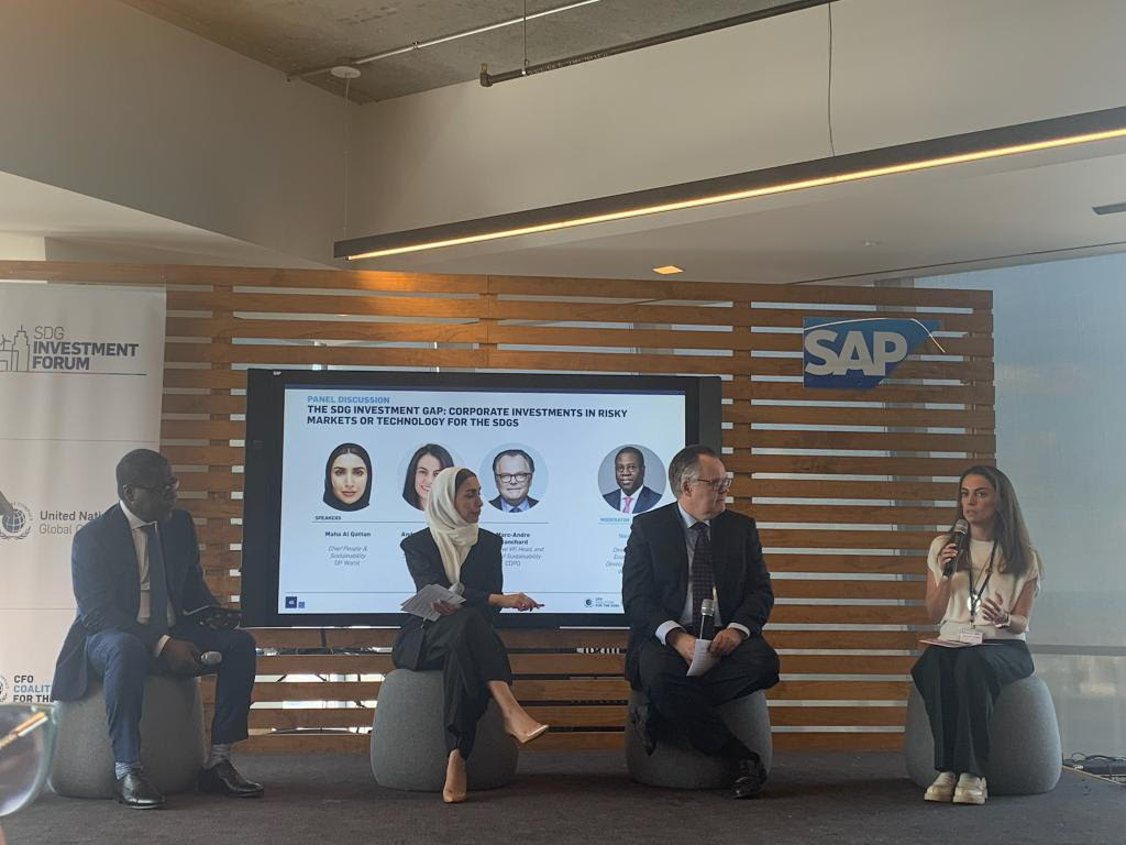 The main challenges to move investments in risky markets or invest in technologies for SDGs (lack bankable pipeline of projects, lack of adequate instruments to derisk transactions at scale, lack of adequate data and knowledge, etc). Catalytic partnerships part of the solution.