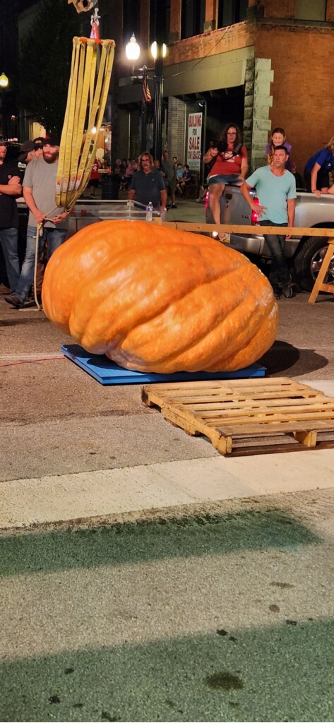 WTOV9's tweet photo. This pumpkin weighs in at 2,405 pounds and is the leader at the moment at the Barnesville Pumpkin Festival. @EdWTOV9 will have the latest on the competition tonight at 10 and 11! https://t.co/MUMvGiNEGr