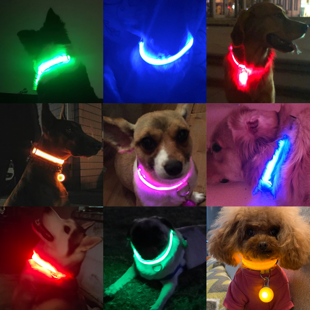 PlinioImportado's tweet photo. Colar Luminoso para Pets

Proteja seu Querido Pet de Acidentes!

Além do lindo design ela dá visibilidade para o seu Pet evitando possíveis acidentes.

Frete Grátis para todo Brasil!

#pet #pets #petshop #petstagram #fy #fyp #fypシ #fyptt #fypシviral https://t.co/klXE0aHWJE