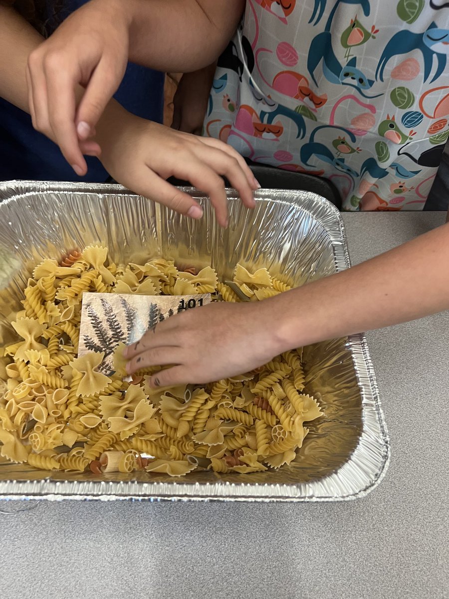 Mrs. Redmon tweet media