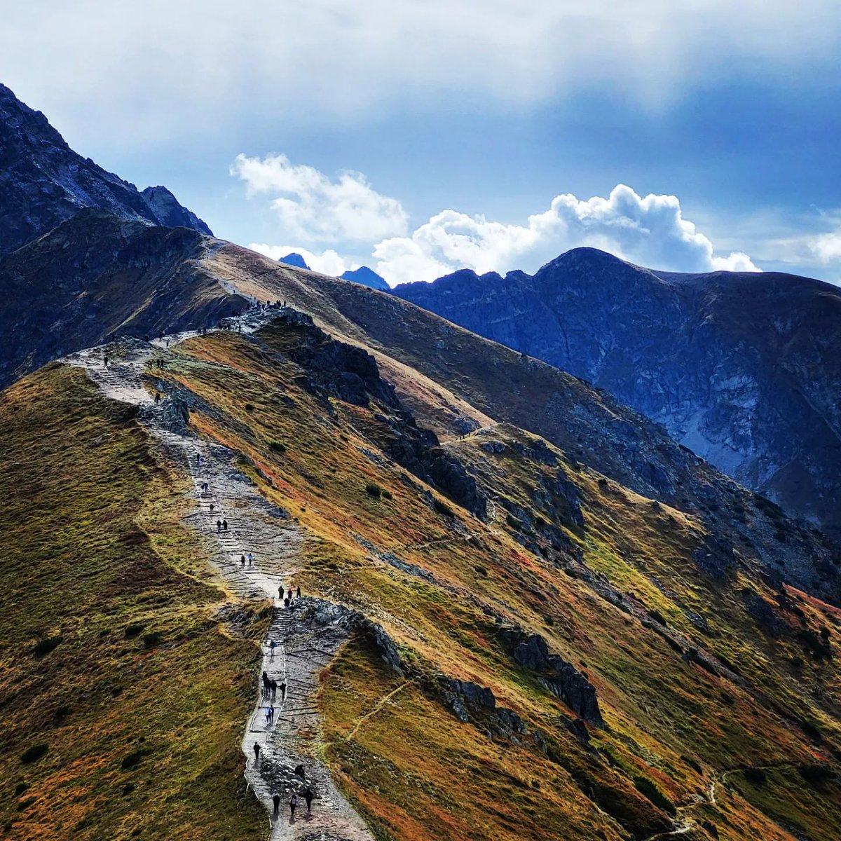 APIabroad's tweet image. Every @api.krakow student will have a chance to experience the beauty of Tatry (Tatra Mountains). Come to Poland with API! bit.ly/3C00rDR
#ispyapi #apiabroad