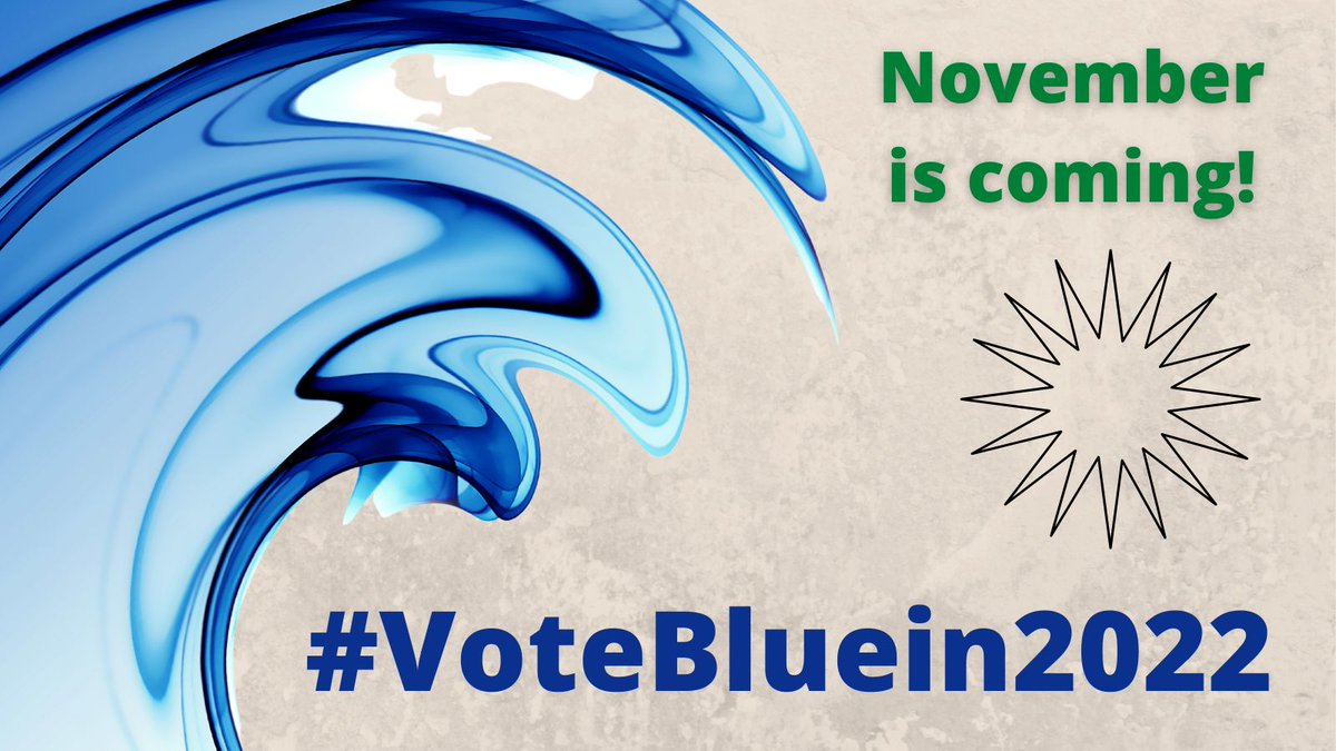 NewDayinAmerica's tweet photo. When Democrats show up and vote, Democrats win.
Make sure YOU vote blue this November!
#VoteBlue #VoteBluein2022 #BlueWave #CrewLPB https://t.co/xVLDV0xzLt