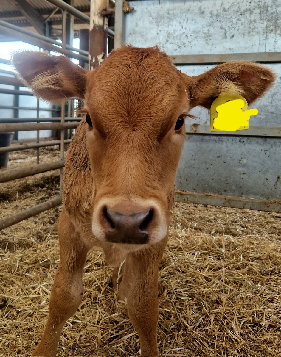 🥰🥰

This weekend's Markets are.....

Friday: @Nestonmarket
Saturday: Uttoxeter <a href="/_makersmarket/">Makers Market</a> and Great Budworth Ice Cream Farm harvest festival
Sunday: Chester Cathedral harvest festival

If you would like to place an order any of these markets please call or message!!