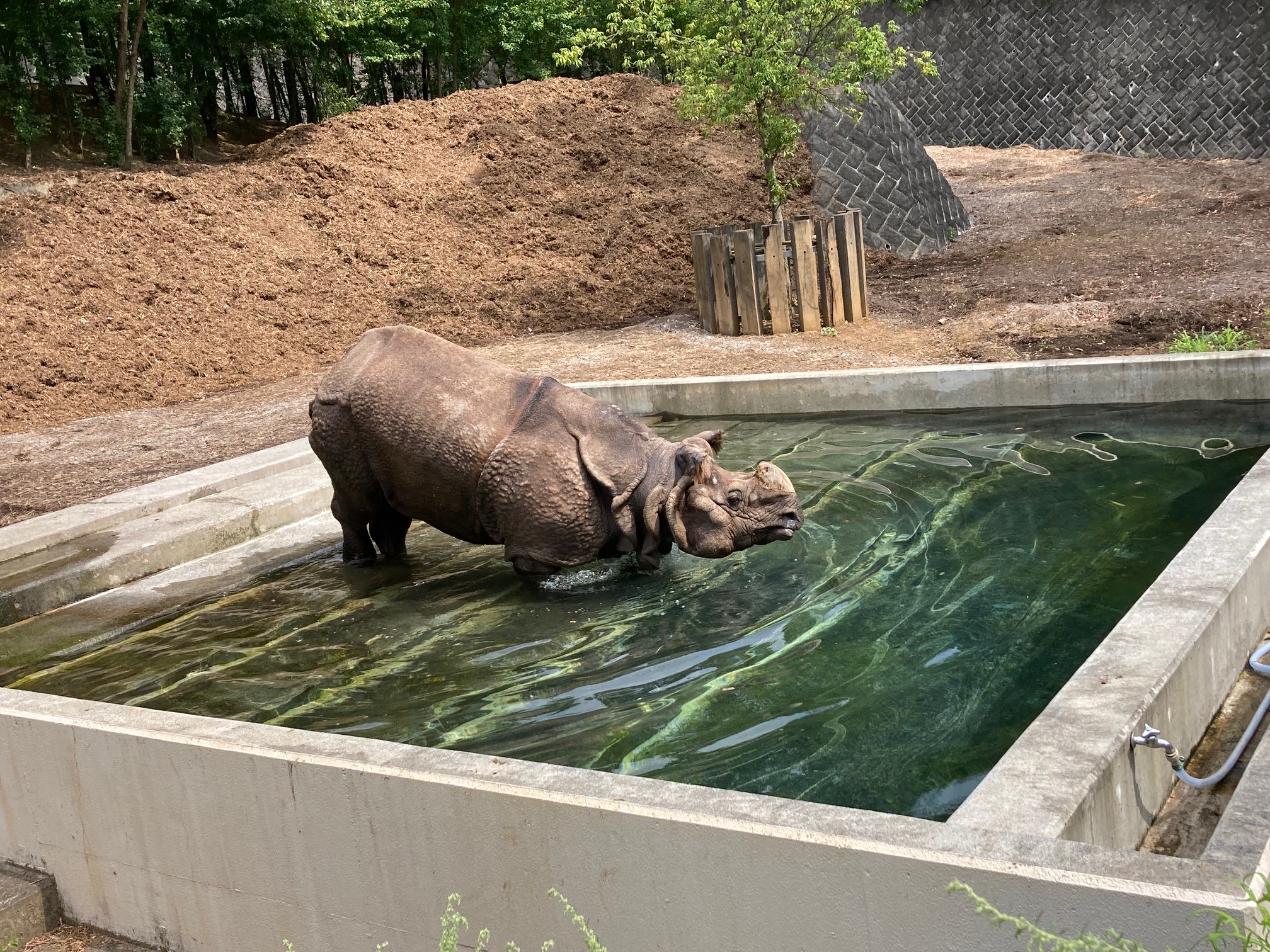 turismo indústria turística viagens mudanças climáticas aquecimento global