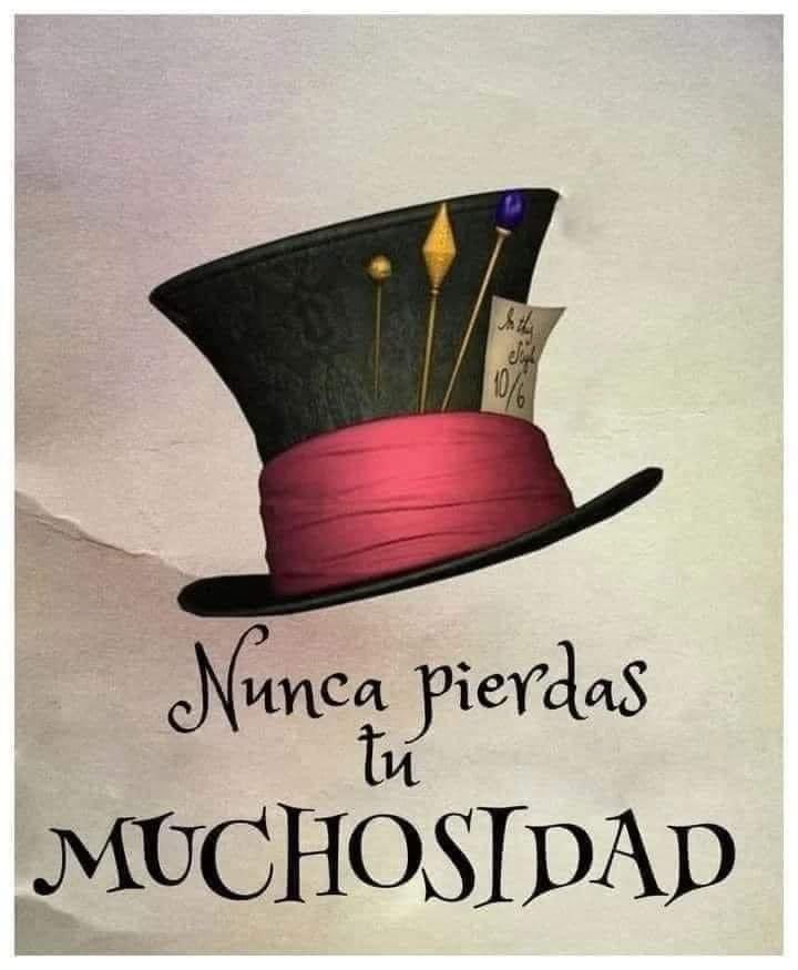 gabbabruja's tweet photo. NUNCA… https://t.co/b44qCA7p6G