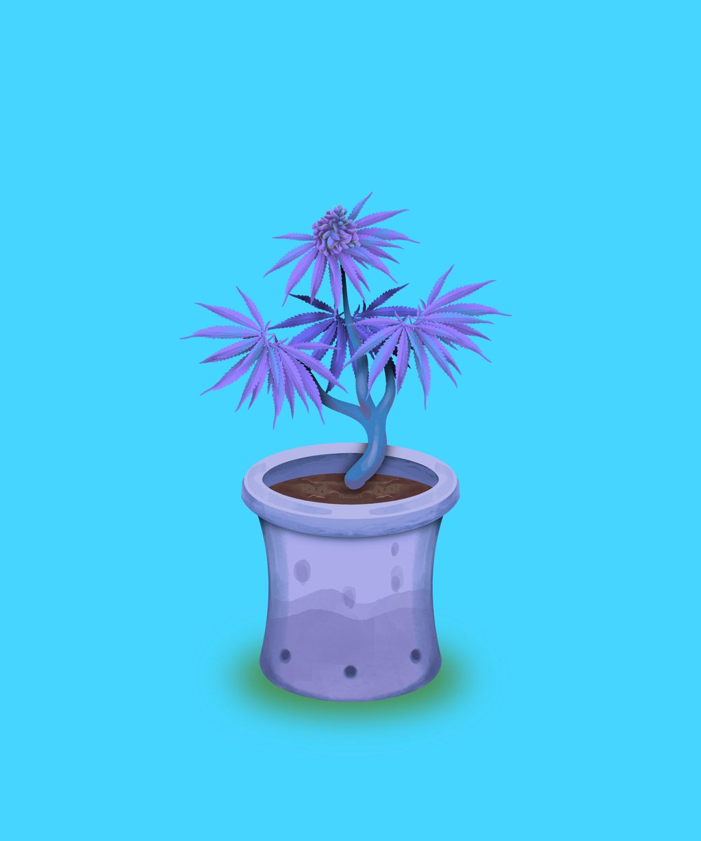 CannaFarm | Now minting 88% minted tweet media