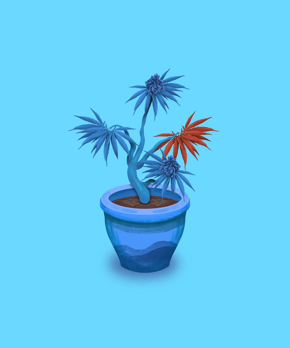 CannaFarm | Now minting 88% minted tweet media