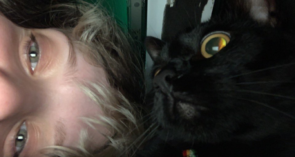 Quick think of something funny and original! 

My Cat be like: